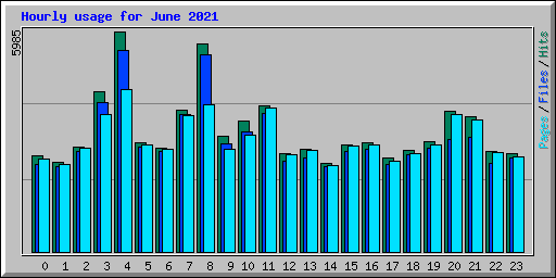 Hourly usage for June 2021
